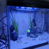 دوتا آکواریم برندشرکتی آکواهمراه تجهیزات|ماهی|تهران, چهارصد دستگاه|دیوار