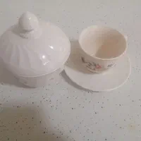 یخدان آرکوپال|ظروف سرو و پذیرایی|قزوین, |دیوار