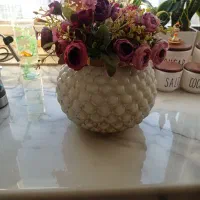 گل و گلدان خارجی