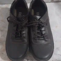 یک جفت کفش برند کاترپیلار چرمی کم کار و سالم