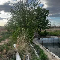 باغچه-پسته-10-ساله-با-سند-اب-و-برق