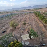 فروش ملک دامداری|مشارکت در ساخت املاک|نجفآباد, حومه نجف آباد|دیوار