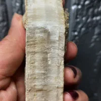 سلنایت معدنی و طبیعی|جواهرات|بندر انزلی, انصار الحسین|دیوار