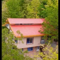 شبمانی اقتصادی در جنگلهای مازندران