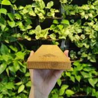 چوب ترمو روس