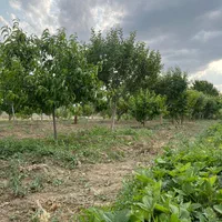 قواره باغی (آبشینه-املاک آروان)|فروش زمین و ملک کلنگی|همدان, |دیوار