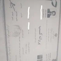 قالیشویی پاک نگین