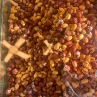 نماینده در آجیل و‌خشکبار