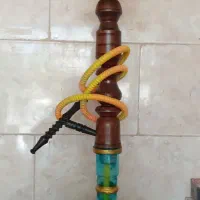 سلام یک عددقلیون سالم