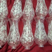 ۱۶ عدد لاله سایز بزرگ