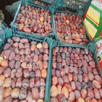 رطب کبکاب دستچین اورگانیک بدون یک دونه خراب