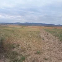 زمین-مزروعی-اطراف-کارخانه-سیمان