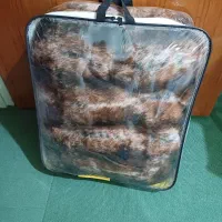 پارتیشن پشتی کناره موکت