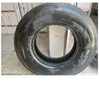 لاستیک جلونیسان مارک ونلی