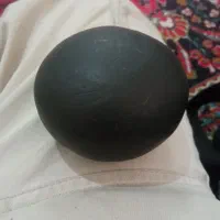 سنگ باستانی