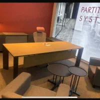 منشی مدیر عامل خانم