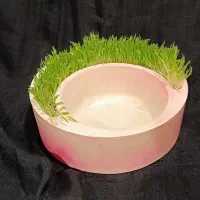 تنگ ماهی و جای سبزه نوروز