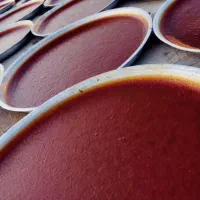 لواشک محلی .لواشک الو .کاملا ارگانیت و بهداشتی|خوردنی و آشامیدنی|تهران, هفده شهریور|دیوار