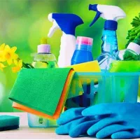 خانم جهت نظافت منزل