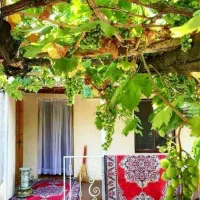 تور اقتصادی شمال فقط۴ میلیون