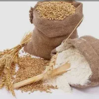 کارگر روز مزد
