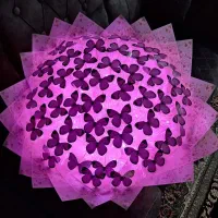 بوکت پروانه