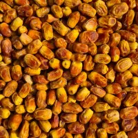 خرما زاهدی