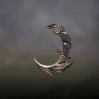 اکانت کالاف|کنسول، بازی ویدئویی و آنلاین|قم, باجک دو|دیوار