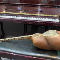 تار پنجه طاووسی|سازهای سنتی|فسا, |دیوار