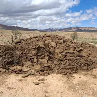 کود گوسفندی فروشی