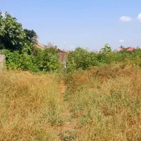 زمین-فروشی-درسیاه-اسطلخ