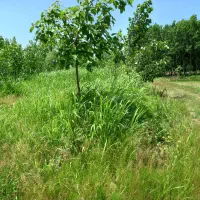 زمین مسکونی برای فروش