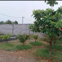 فروش خانه ویلا زیارت سید سلیمان|فروش خانه و ویلا|تخت, |دیوار