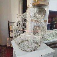 قفس عروس هلندی