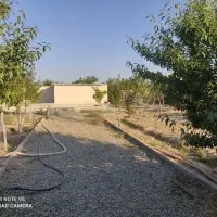 زمین-باغچه