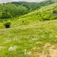 زمین مزروعی دو بر سند تکبرگ و ویوی بی‌نظیر و ابدی