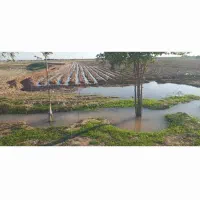 اجاره۱۵هکتارزمین کشاورزی دیم|اجارهٔ دفتر صنعتی، کشاورزی، تجاری|اندیمشک, |دیوار