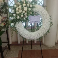 مجموعه تاج گل امیری ۱۴۰۰|گل و گیاه طبیعی|تهران, قزل قلعه|دیوار