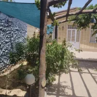 زمین فروشی ناجی آباد