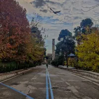 مشاوره تحصیلی(دانشجوی پزشکی تهران)