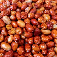 سنجد وپودر سنجد