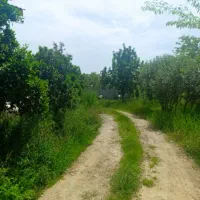 فروش ویلا ۷۱۰متر زمین ۱۵۰ متر بنا سند تک برگ|فروش خانه و ویلا|رضوانشهر, |دیوار