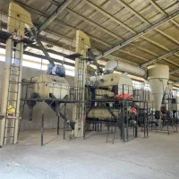 فروش بذر اصلاح شده ارقام پیشگام ،حیدری،زرینه