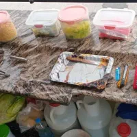 فروش گاری فلافل آماده به کار کاملا سالم|کافیشاپ و رستوران|رباطکریم, رباطکریم|دیوار