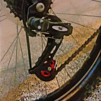 دوچرخه ۲۶ ویوا|دوچرخه، اسکیت، اسکوتر|قدس, شهر‌قدس|دیوار