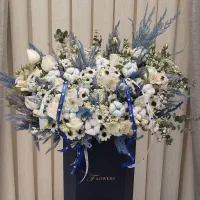 گل جاودان و ابدی|گل مصنوعی|شیراز, نصر|دیوار