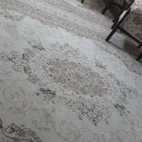 جفت ۱۲متری