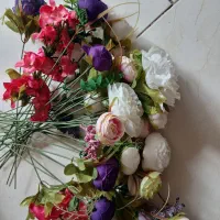 گل خارجی نو