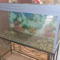 آکواریوم با پایه