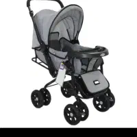 کالسکه دلیجان